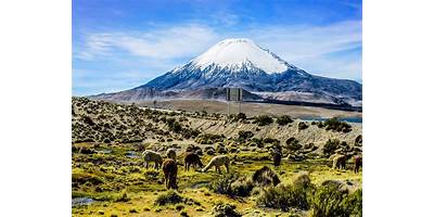 Arica y Parinacota