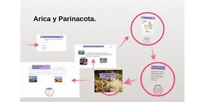 Esc Esp De Lenguaje Gotitas De Rocio