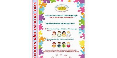 Escuela De Lenguaje Mis Violetas