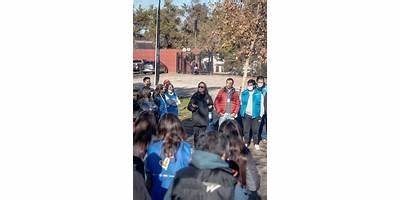 Escuela Especial N° 2470 Árbol De Colores