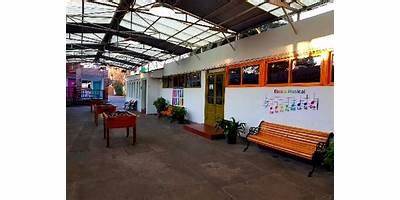 Escuela Especial Particular Millantu