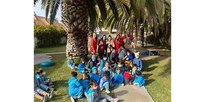 Colegio De Lenguaje Everito
