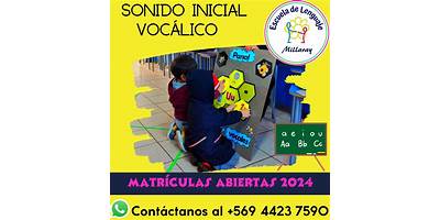 Escuea Especial De Lenguaje Millaray