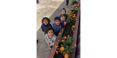 Escuela Especial De Lenguaje Rucahue